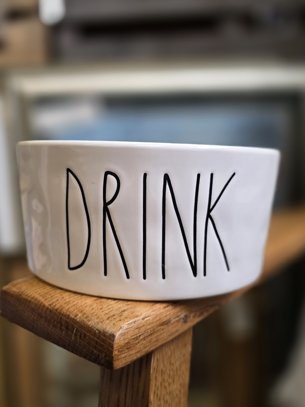 Rae Dunn DRINK Ceramic Pet Bowl 6"